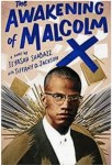 The Awakening of Malcolm X: A Novel by Ilyasah Shabazz and Tiffany D.&nbsp;Jackson