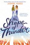 The Shape of Thunder by Jasmine&nbsp;Warga