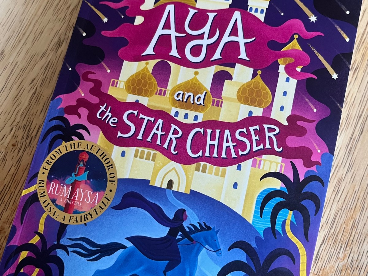 Aya and the Star Chaser by Radiya Hafiza illustrated by Kaley&nbsp;McKean