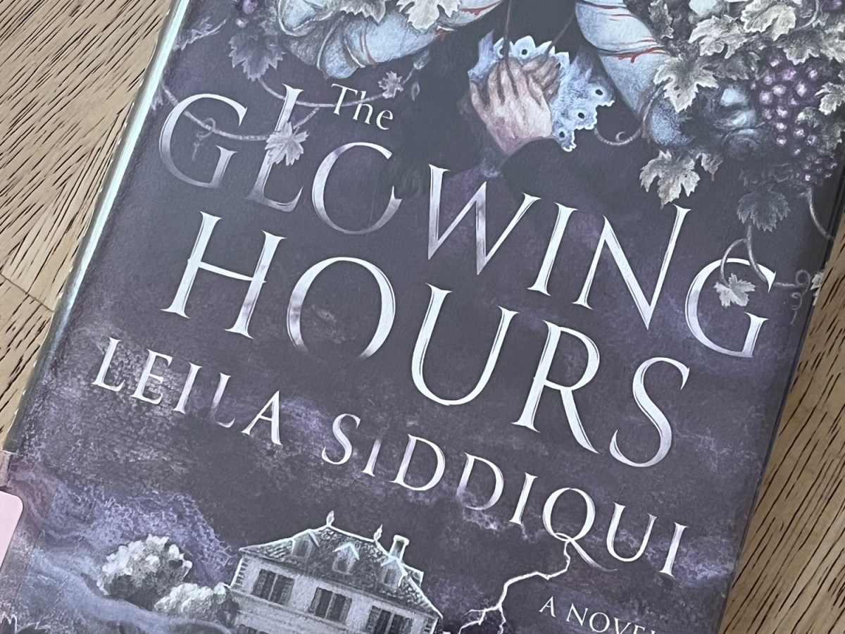 The Glowing Hours by Leila&nbsp;Siddiqui