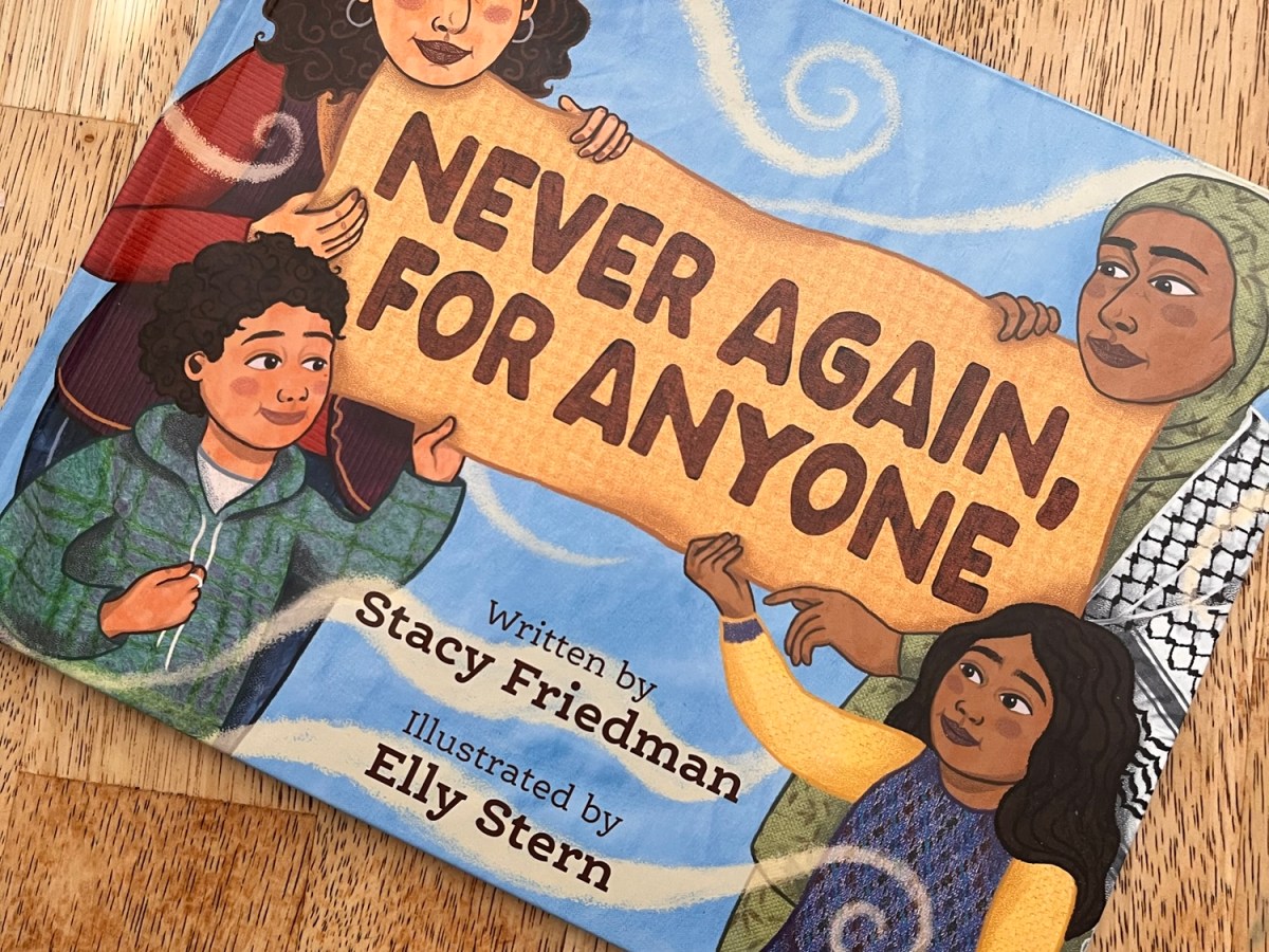 Never Again, For Anyone by Stacy Friedman illustrated by Elly&nbsp;Stern